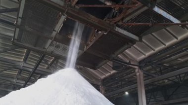 Amonyum sülfat tozu bir kimyasal fabrika deposunun içindeki bir yığın içine dökülüyor. Tarım endüstrisi için mineral organik gübreler.