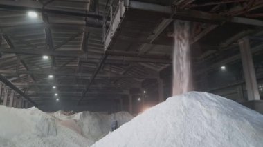 Amonyum sülfat tozu bir kimyasal fabrika deposunun içindeki bir yığın içine dökülüyor. Tarım endüstrisi için mineral organik gübreler.