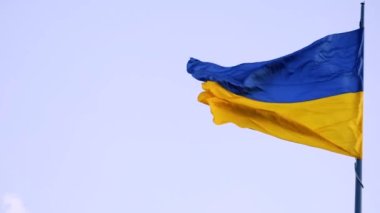 Rüzgarlı bir günde mavi gökyüzü arka planında Ukrayna sarı ve mavi bayrağı. Gerçek zamanlı video arkaplan 4k, UHD.