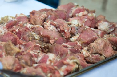 Marine Şaşlık yakın çekim