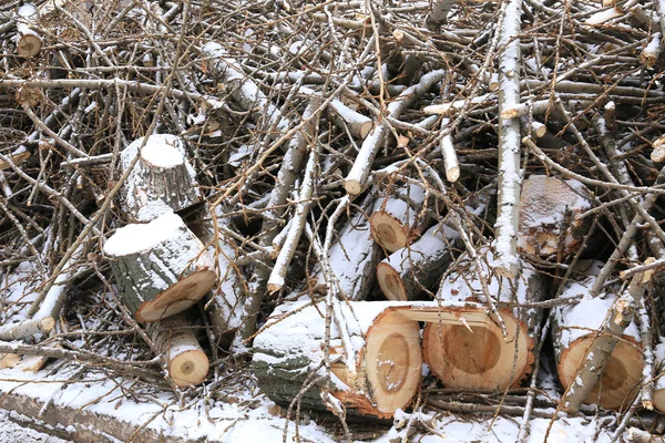 Fűrészelt Fából Készült Gerendák Kisebb Gallyak Hóban — Stock Fotó