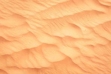 Sandy beach arka plan. Kum doku.