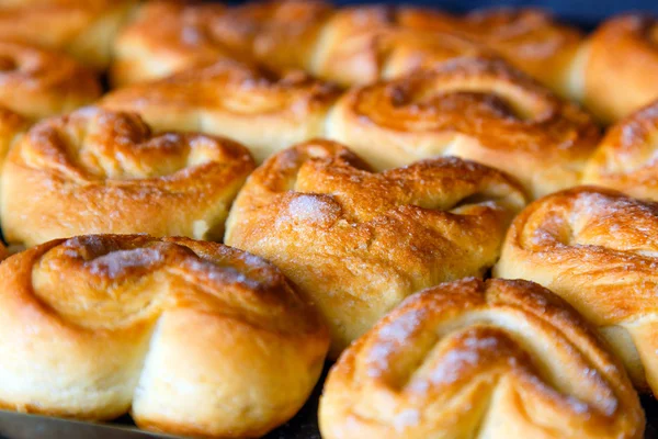 Fresh homemade buns close up in the oven — Stock Photo, Image