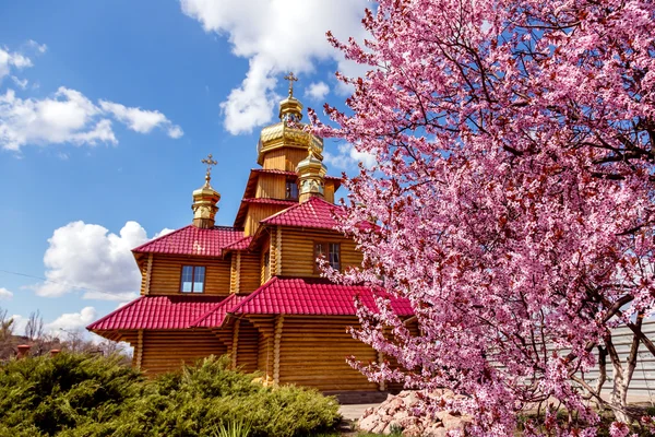 Ahşap Ortodoks Kilisesi ve mor çiçek açması Manolya ağacı
