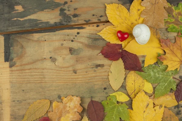 Withered leaves on the old wooden board. Autumn comfort. Place for your text. Decoration of dry leaves. — Stock Photo, Image