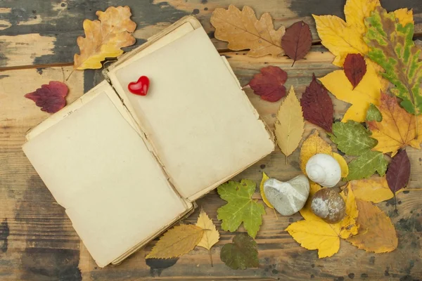 Hojas marchitas en la vieja tabla de madera. Confort de otoño. Lugar para tu mensaje. Decoración de hojas secas . — Foto de Stock