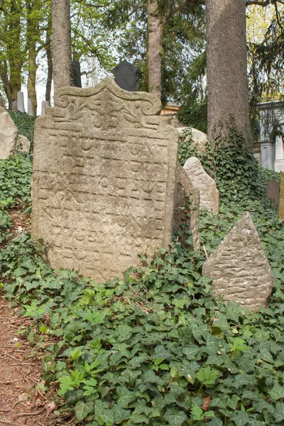 Trebic, Czech Republic, April 23, 2016: Old Jewish Cemetery, the old Jewish part of the city Trebic is listed among UNESCO. The Jewish cemetery is one of the oldest  in Central Europe — Stock Photo, Image