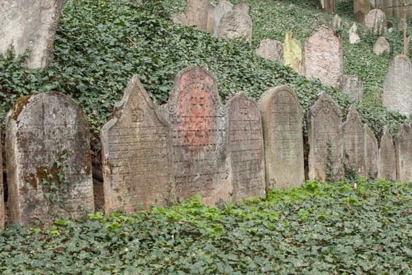 Trebic, Czech Republic, April 23, 2016: Old Jewish Cemetery, the old Jewish part of the city Trebic is listed among UNESCO. The Jewish cemetery is one of the oldest  in Central Europe — Stock Photo, Image