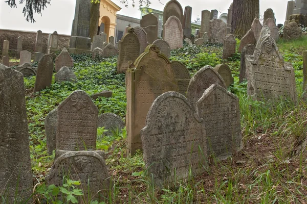 Trebic, Czech Republic, April 23, 2016: Old Jewish Cemetery, the old Jewish part of the city Trebic is listed among UNESCO. The Jewish cemetery is one of the oldest in Central Europe — Stock Photo, Image