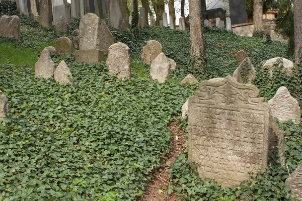 Trebic, Česká republika, 23. dubna 2016: Starý židovský hřbitov, stará Židovská část města Trebic je uvedena mezi UNESCO. Židovský hřbitov je jedním z nejstarších ve střední Evropě — Stock fotografie