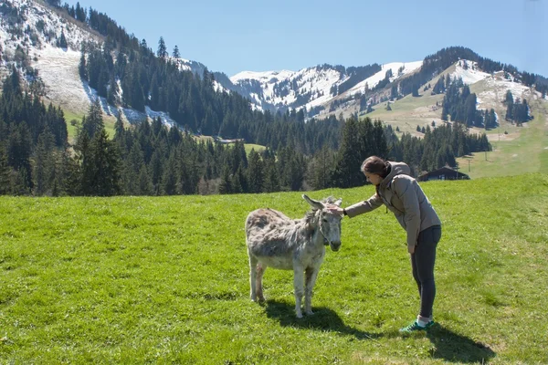 Beautiful girl stroking a donkey. Holidays in the mountains. Girl on the mountain meadows. — Stock Photo, Image