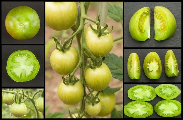 Zielone pomidory kolaż. Koncepcja rolnictwa. Sprzedaży upraw rolnych. — Zdjęcie stockowe