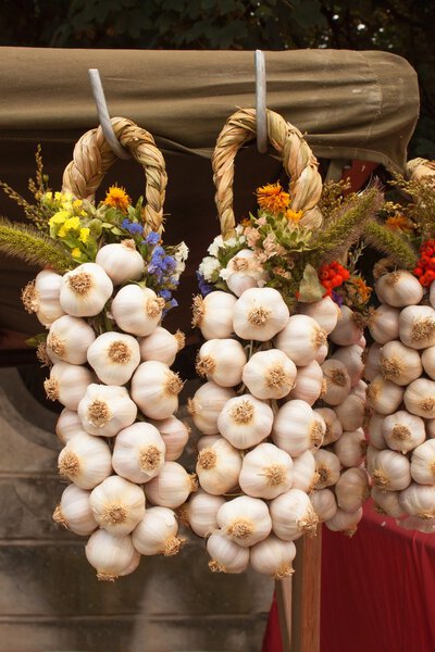 Органический чеснок для продажи на открытом рынке фермеров. Продажа чеснока на рынке
.