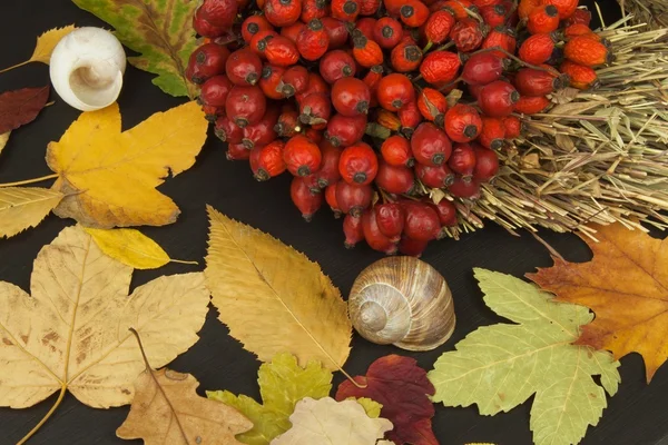 Hojas de otoño sobre fondo de madera con espacio para copiar. Recordando noviembre. Decoración de hojas secas de árboles. Colores del otoño . — Foto de Stock