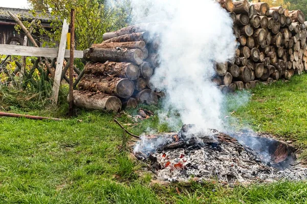 Écorce Arbre Feu Cheminée Extérieure Élimination Des Scolytes Travailler Ferme — Photo