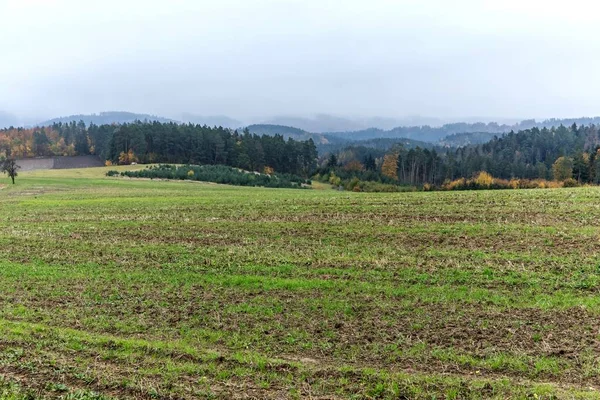 Φθινόπωρο Ώρα Στην Τσεχία Ομιχλώδης Καιρός Στην Εξοχή Φθινοπωρινό Τοπίο — Φωτογραφία Αρχείου