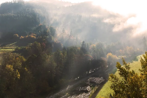 秋天的大自然背景森林在雾中 秋雾蒙蒙的早晨 捷克共和国的农村景观 太阳光 — 图库照片