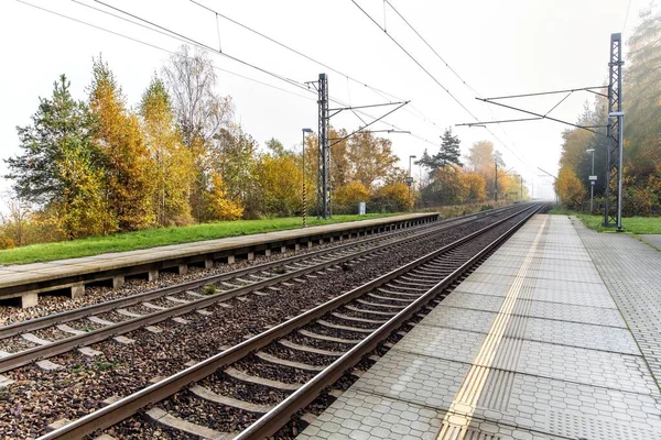 Vías Férreas Transporte Ferroviario Transporte Tren Mañana Nublada Otoño Paisaje —  Fotos de Stock