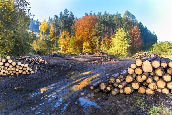 Registrazione Autunno Una Radura Fangosa Deforestazione Industria Forestale Nella Repubblica — Foto Stock