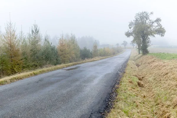 Mokrá Asfaltová Cesta Mlha Silnici Nebezpečné Počasí Nebezpečná Cesta — Stock fotografie