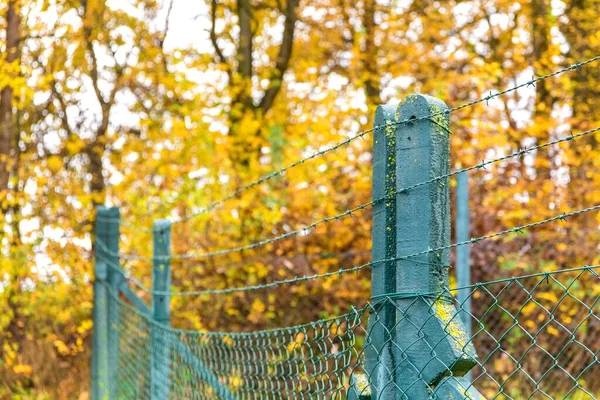 Συρματοπλέγματα Συρματοπλέγματα Φράχτη Μπλε Ουρανό Περιφραγμένη Φάρμα Μια Φθινοπωρινή Μέρα — Φωτογραφία Αρχείου