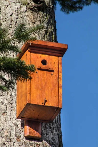 Ručně Vyrobená Dřevěná Ptačí Budka Stromě Parku Úkryt Pro Ptáky — Stock fotografie