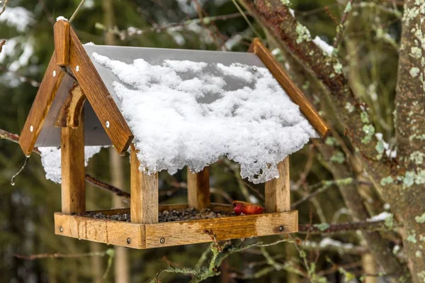 Houten Vogelvoeder Een Besneeuwd Landschap Voeren Voor Vogels Vogelvoeder Aan — Stockfoto