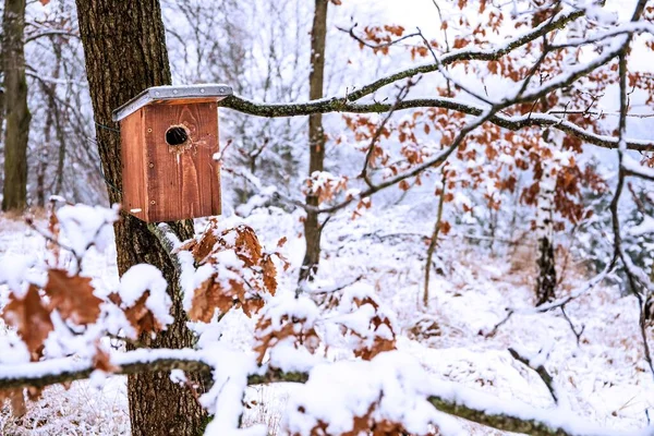 Vogelhuisje Winter Sneeuw Het Vogelhuisje Ijzige Winterochtend Schuilplaats Voor Vogels — Stockfoto