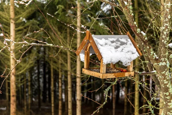 Houten Vogelvoeder Een Besneeuwd Landschap Voeren Voor Vogels Vogelvoeder Aan — Stockfoto