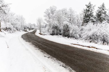 Çek Cumhuriyeti, Avrupa 'da kış yolu ve ağaçlarla kaplı. Taze yağmış kar ve kırsal kesimde sürülmüş yol. Kaygan yol.