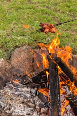Kamp ateşinde kızartılmış sosis. Ateşin üzerindeki çubukta sosis. Kamp ateşinde sosis hazırlıyorum.