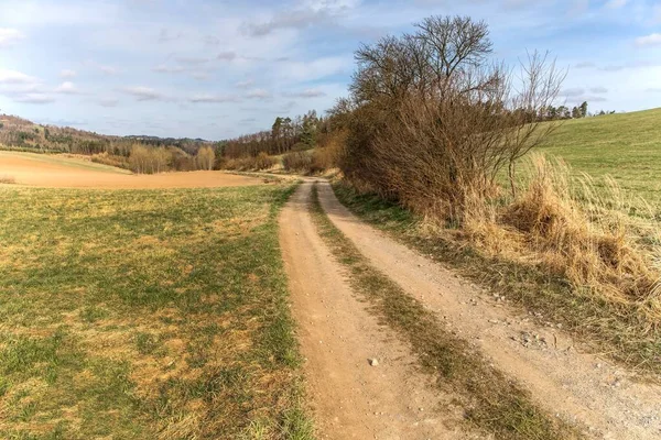 Small Dirt Road Green Fields Spring Landscape Czech Republic Rural — Stock Photo, Image