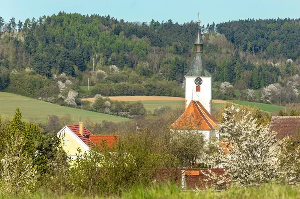 Cseh Falusi Templom Vasárnap Tavaszi Reggel Szent Márton Gótikus Temploma — Stock Fotó