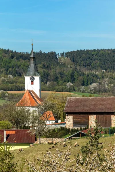 Чешская Сельская Церковь Воскресным Весенним Утром Готическая Церковь Святого Мартина — стоковое фото