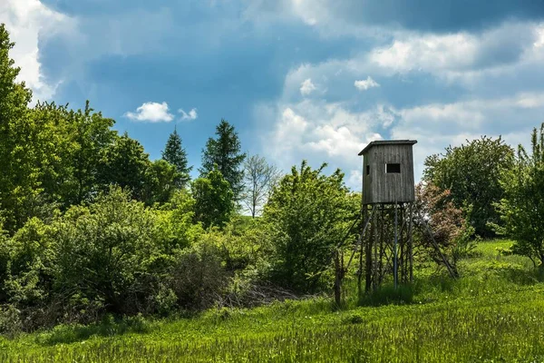 Temporada Caça Torre Vigia Hogs Uma Manhã Verão Torre Caça — Fotografia de Stock