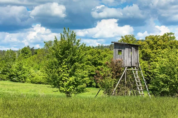 Jagdsaison Schweine Wachturm Einem Sommermorgen Jagdturm Aussichtsturm Zur Jagd Der — Stockfoto