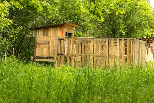 Henhouse Postaven Dřevěných Palet Malá Kurvička Lesa Chov Slepic Malá — Stock fotografie