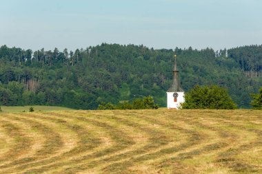Freshly mown meadow in warm temperatures. Summer morning on the farm. Haymaking. Cattle feed.