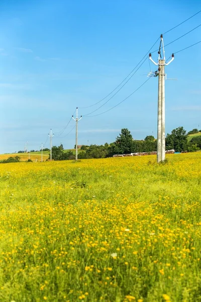 Stromtrassen Durch Wiesen Und Felder Wiese Mit Grünem Gras Davor — Stockfoto
