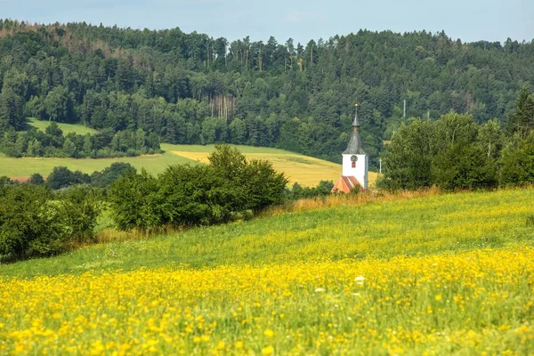 Old White Church Countryside Panorama Green Landscape Church Gothic Church — 스톡 사진