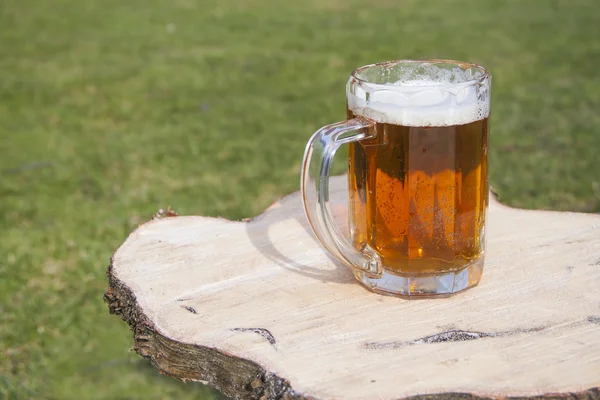 Egyetlen sör üveg közelről fából készült asztal, a vágott nyir fa tálca — Stock Fotó