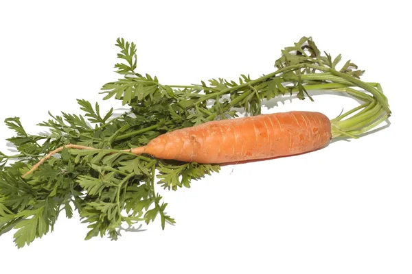 Fresh bio carrot isolated over white — Stock Photo, Image