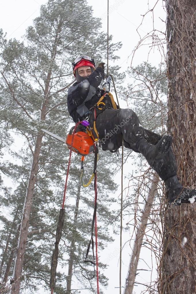 Arborist sawing wood chainsaw at the height in a snowstorm, dangerous work