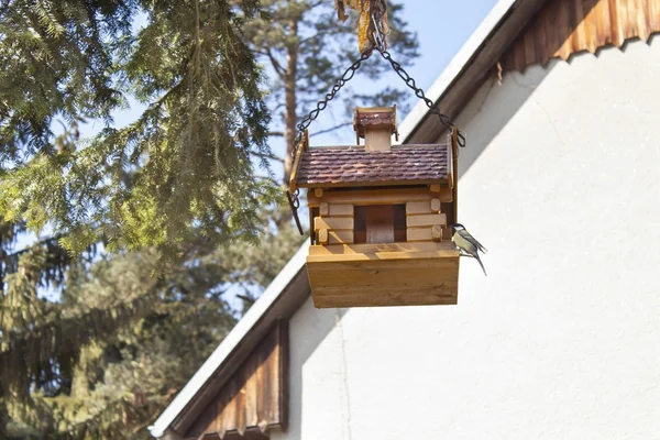 Zwarte mees op een tuin Vogelhuis/waterbak, onscherpe achtergrond — Stockfoto