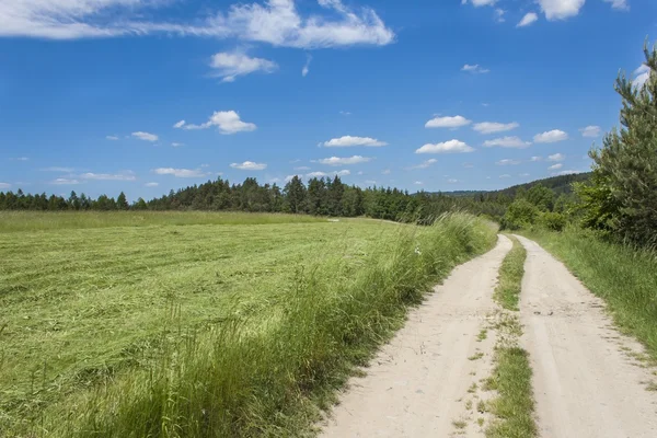 Journée d'été et un chemin de terre menant à la forêt à l'horizon en arrière-plan. Ciel bleu avec nuages. Route rurale en République tchèque . — Photo