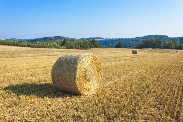 Round straw bales in harvested fields and blue sky without clouds. Beautiful countryside landscape. Dry landscape in the Czech Republic. Field in the morning sun. — Φωτογραφία Αρχείου