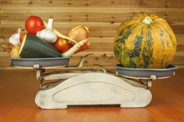 Cultivar verduras en la granja ecológica. Hortalizas cultivadas en un pequeño jardín casero. Peso de metal viejo en la comida casera. Fondo con verduras. Promoción de dietas saludables, preparación de alimentos dietéticos . — Foto de Stock