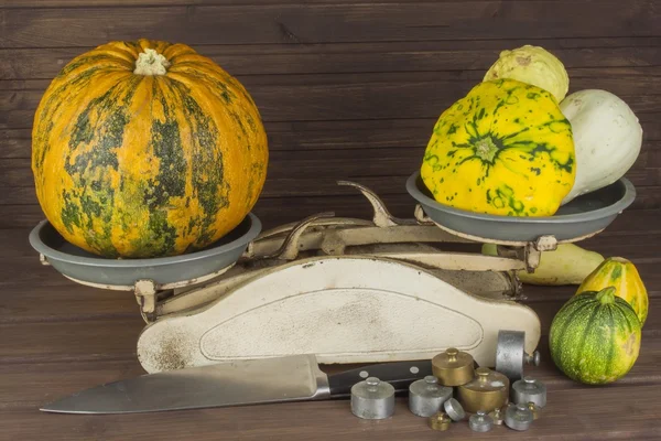 Raccolta autunnale di zucche. Mi sto preparando per Halloween. Coltivare verdure in un orto domestico. Posto per il testo. Zucche di autunno con foglie su asse di legno. Vecchia scala di cucina vegetale . — Foto Stock