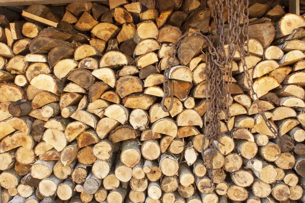 Background of stacked wood. Various kinds of wooden logs stacked on top of each other. Stack of wood, firewood, background. Dry chopped firewood logs ready for winter. — Stock Photo, Image