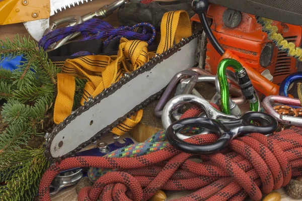 Herramientas para cortar árboles, arboristas utilitarios. Sierra de cadena, cuerda y mosquetones para trabajar el leñador. Arborista - médicos árboles — Foto de Stock